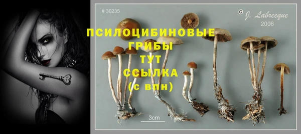 ешки Верея