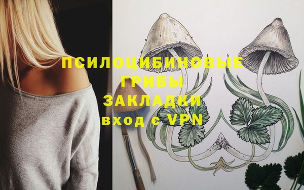 бошки Богданович