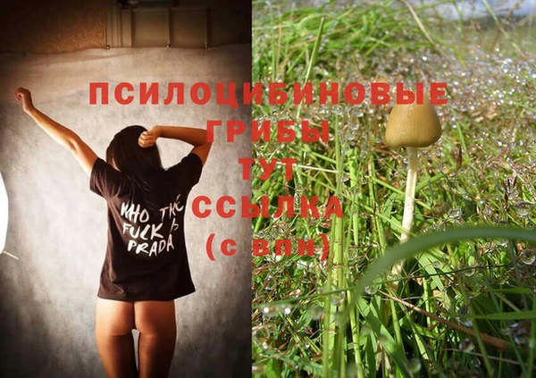 дурь Белокуриха