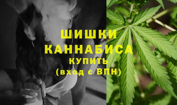ECSTASY Богородицк